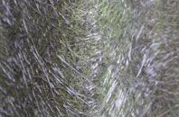 Kirkton Of Maryculter fibreglass roof work